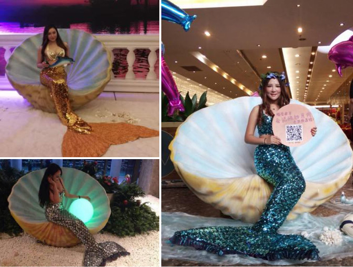 �V���ݳ���(ji��)Ŀ��(j��ng)�o��˾