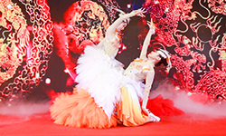 ���(d��ng)��(ji��)Ŀ���ݡ�ʢ�����ˡ�