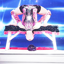 �V�����g�񻨱��ݹ�˾