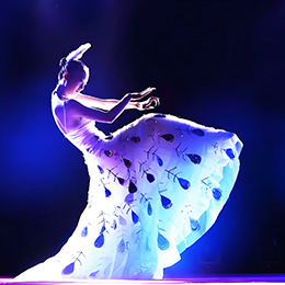 廣州演出公司,演出經(jīng)紀(jì),演藝經(jīng)紀(jì),節(jié)目表演經(jīng)紀(jì)