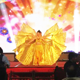 �V�ݸ������ˇ��(j��ng)�o(j��)��˾