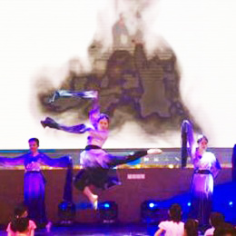 �V���赸��ˇ��(j��ng)�o(j��)��˾