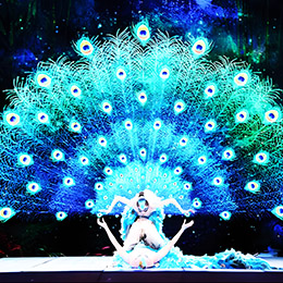 ȸ֮�٣��赸��(ji��)Ŀ���赸�ݳ���(j��ng)�o(j��)���赸��ˇ��(j��ng)�o(j��)��ȸ֮���赸��(j��ng)�o(j��)