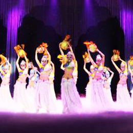 ���Џ����赸����Ƥ�赸��(ji��)Ŀ���V�ݱ��ݽ�(j��ng)�o(j��)��˾���ݳ���ˇ�����轛(j��ng)�o(j��)