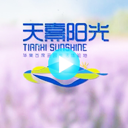 �V�ݳ�������Ƭ������˾,�V�ݳ�����������Ƭ������˾,�V�ݳ�����������Ƭ�Ĕz������˾