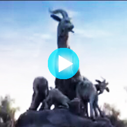 �V�ݳ�������Ƭ������˾,�V�ݳ�����������Ƭ������˾,�V�ݳ�����������Ƭ�Ĕz������˾